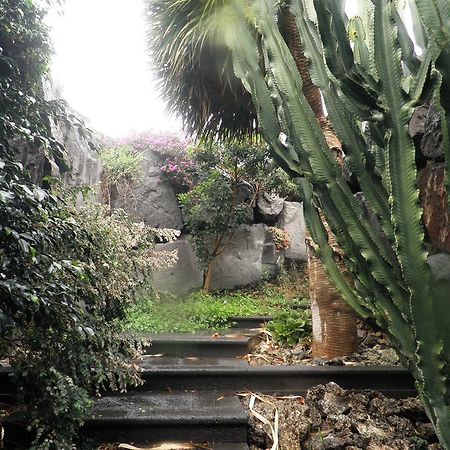 Villa Remedios Teguise  Camera foto